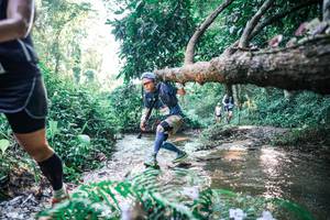 BIB: 
                            <button type="button" onclick="openModal(25436965)" class="btn btn-primary btn-sm float-right btn-popup" data-toggle="modal" data-target=".modal-high-quality">
                        <i class="fas fa-shopping-cart"></i> Add to Cart
                    </button>
                                            <button type="button" onclick="isThisMe(25436965, true)" class="btn btn-success btn-sm float-right btn-popup btn-isme hidden" data-toggle="tooltip" data-placement="bottom" title="นี่คือรูปของคุณใช่ไหม คลิกที่นี่เพื่อเอาเข้าอัลบั้ม">
                        <i class="fas fa-plus"></i> Add to album
                    </button>
                    <button type="button" onclick="isThisMe(25436965, false)" class="btn btn-warning btn-sm float-right btn-popup btn-isnotme hidden">
                        <i class="fas fa-ban"></i> Remove from album
                    </button>